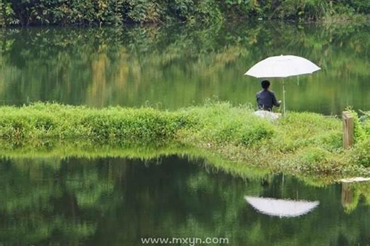 梦见湖水里很多金龙鱼游来游去