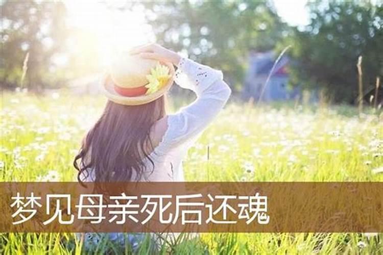 梦见妈妈老了是什么意思呢