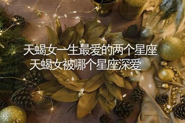 天蝎女一生只会爱一次