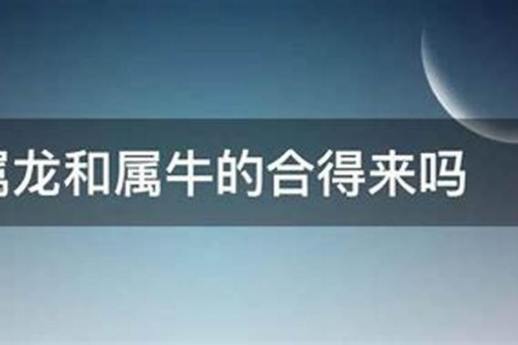 家里属相是龙和牛的幸福吧,属牛和属龙相配吗好吗