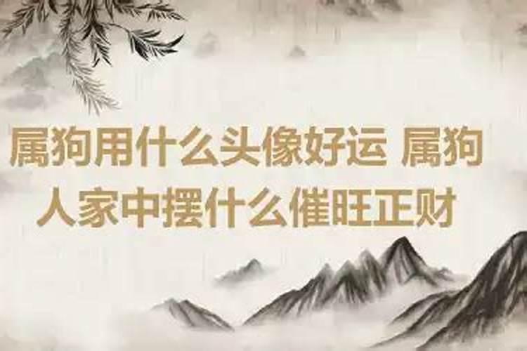 属狗人家里放什么招财聚财的东西