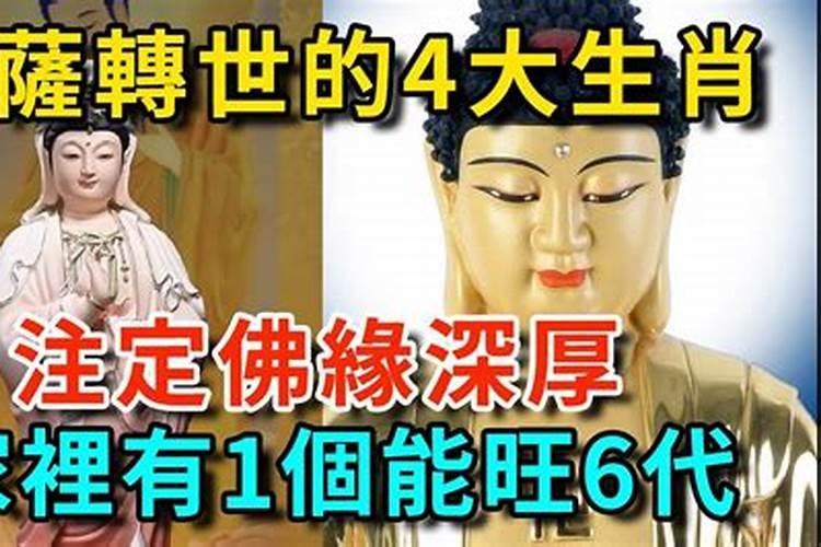 佛缘深厚的4大生肖