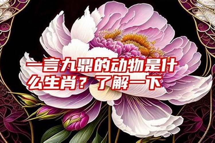 傻里傻气的动物是什么生肖