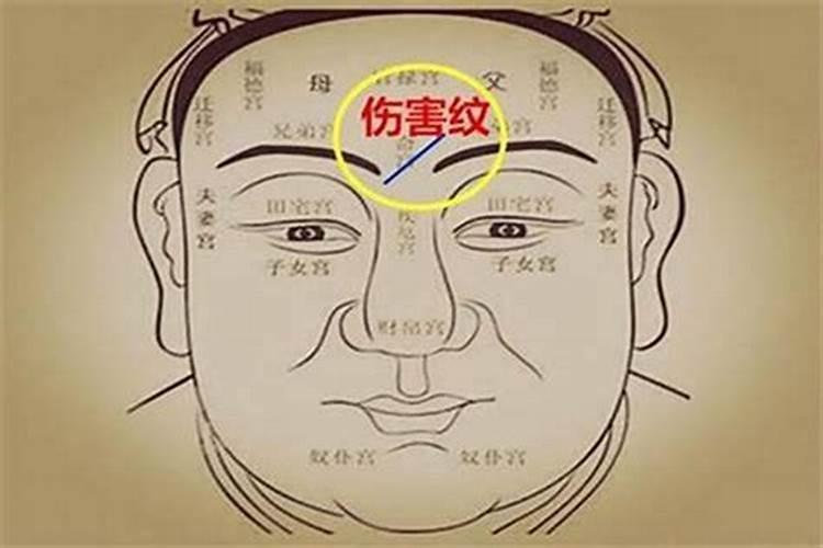 面相看运势主要看哪里