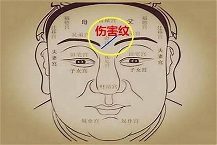 面相看运势主要看哪里的人