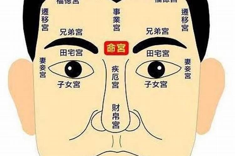 男人八字眉命运怎么样