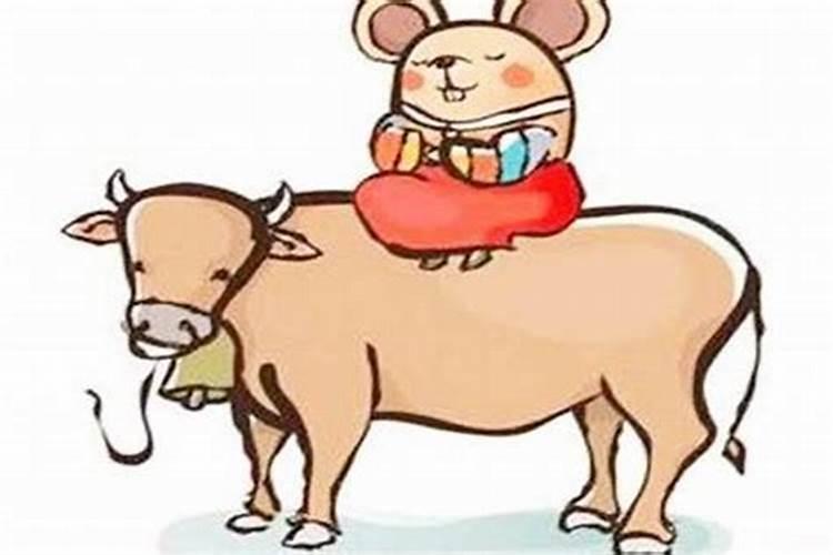 鼠和牛相配婚姻出现问题,会离婚吗