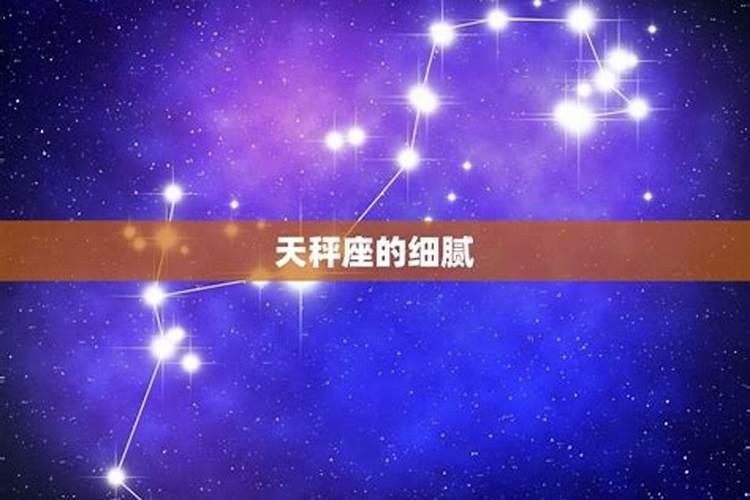 哪个星座治天秤