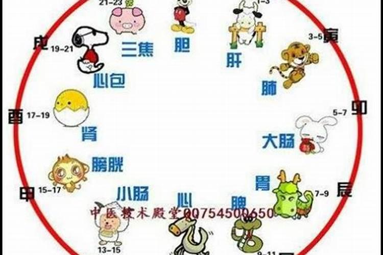 12生肖对应什么花