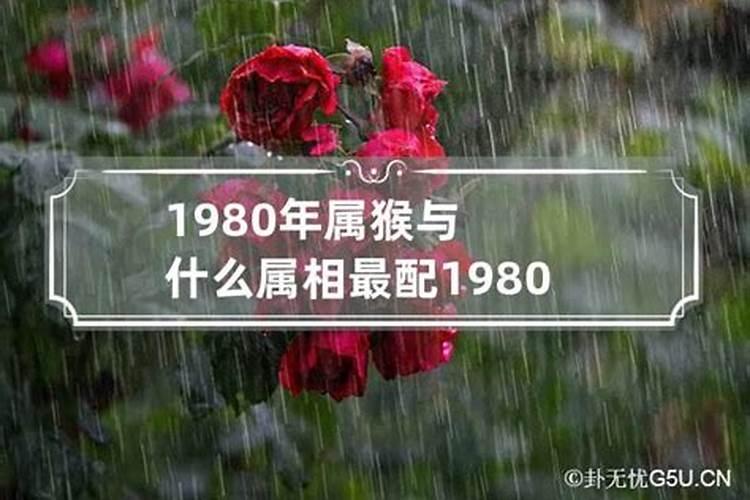 1980属猴和属兔怎么样