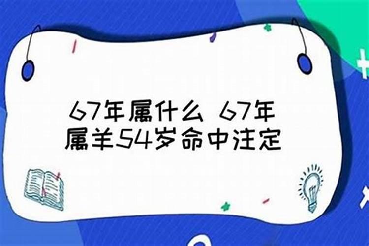 67年生肖羊是什么星座