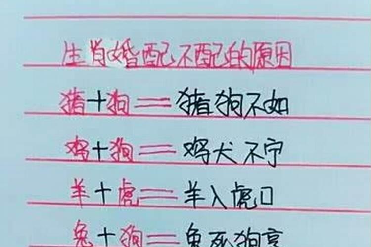 31岁属什么生肖和婚配兔可以吗