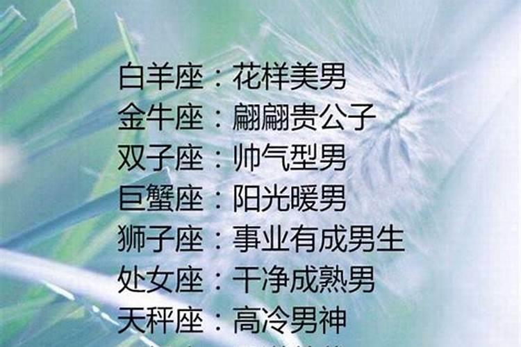 长大后很帅的星座