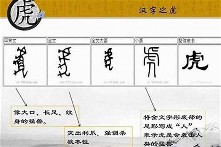 拒字是什么十二生肖