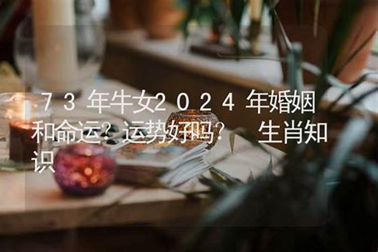 73年属牛女人2020年的婚姻