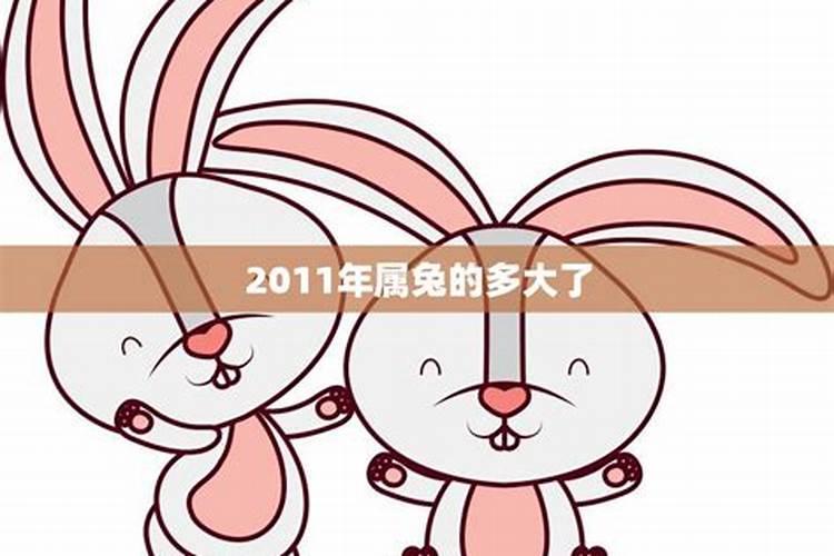 2011属兔的今年几周岁