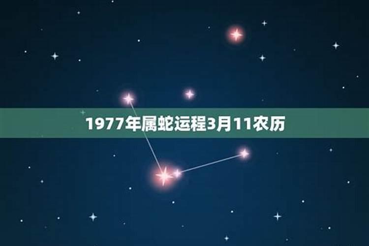 属蛇1977年月份运程如何