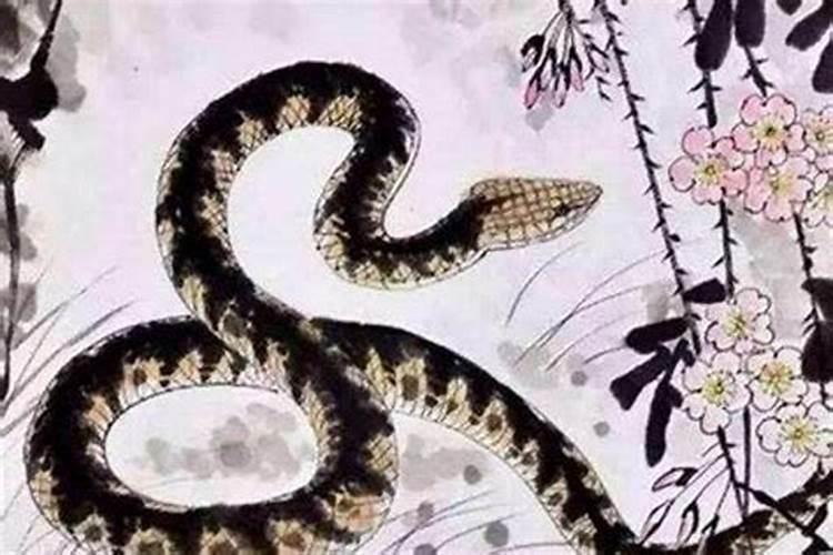 属蛇的1977年出生的是什么命