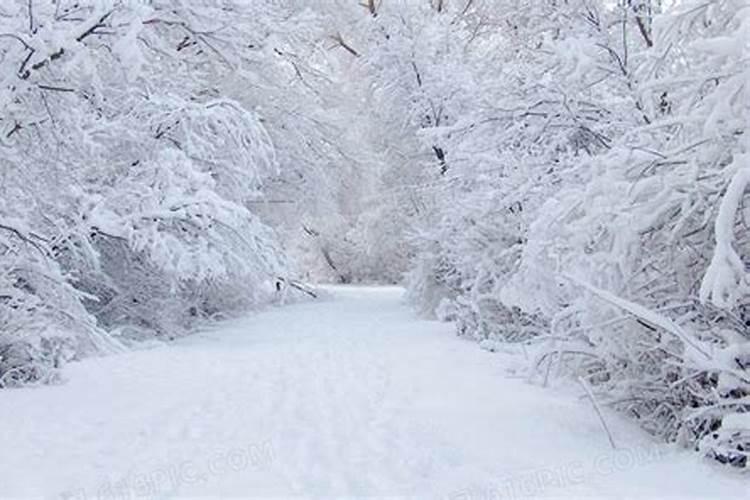 梦见大雪天到处白茫茫