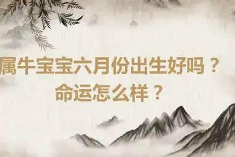 属牛的宝宝6月份出生好不好