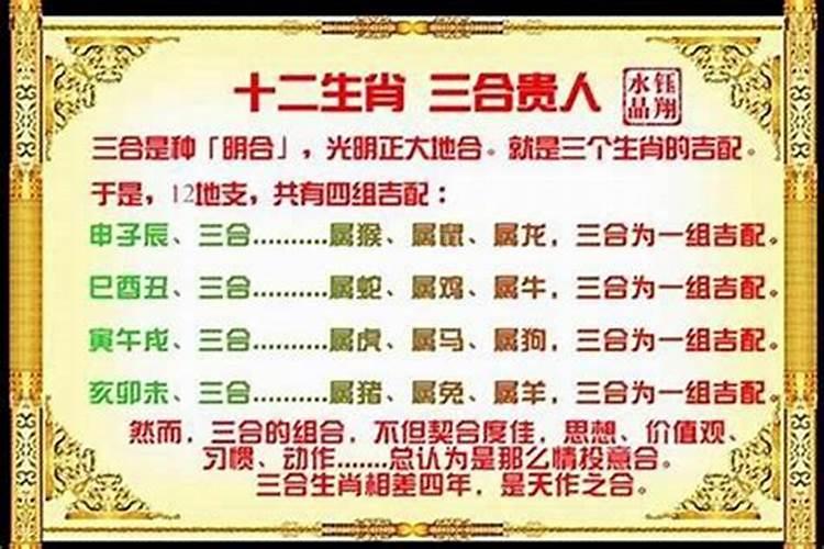 家中摆放三合属相怎么摆放