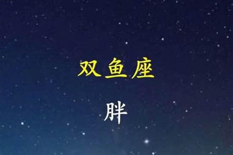 十二星座最怕什么视频