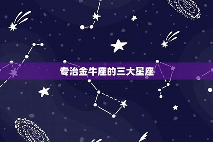 专治金牛座的星座