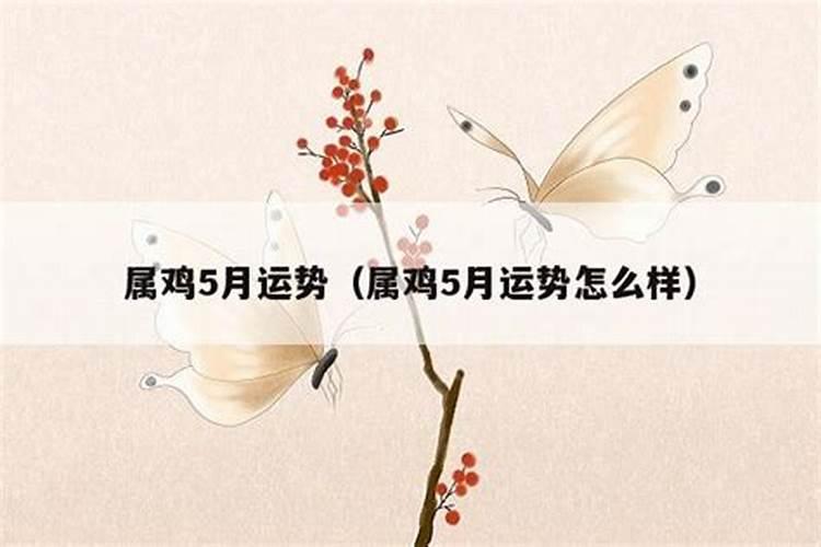 5月份属相运势