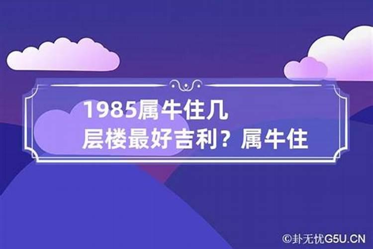 属牛的适合住几楼东户好还是西户好