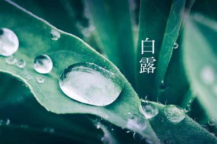 白露秋分是什么意思