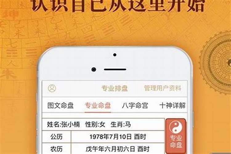 学校清明祭扫流程