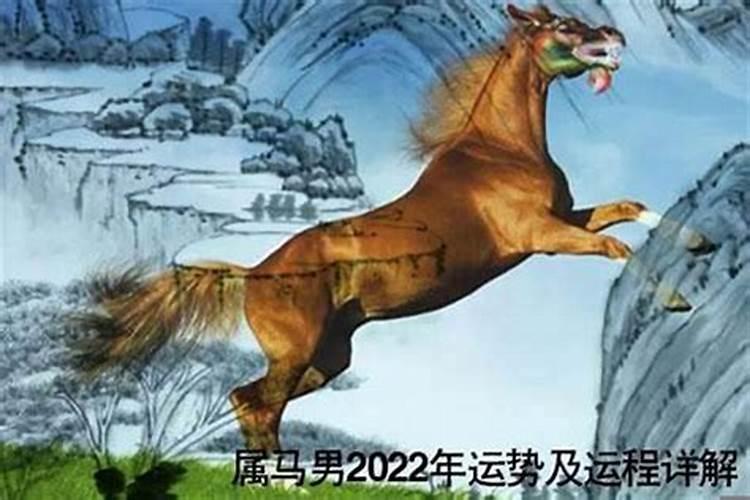 属马人在虎年的运势2023年运程如何