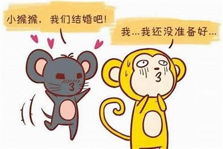 男属猴找对象属什么好一点