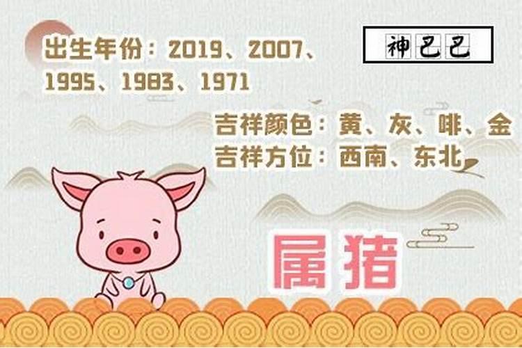 2007年几月出生属猪