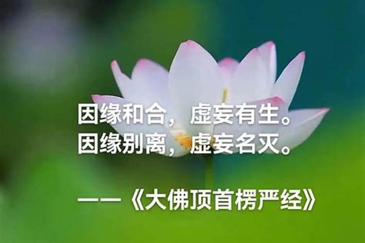 因缘和合,虚妄有生;因缘别离,虚妄名灭