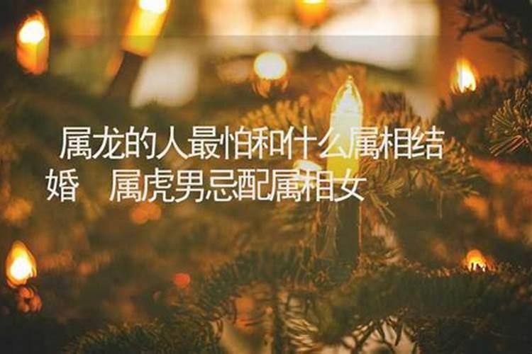 属龙的人最怕什么东西呢