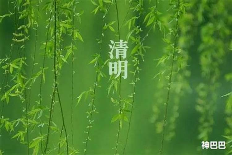 清明节忌讳什么生肖