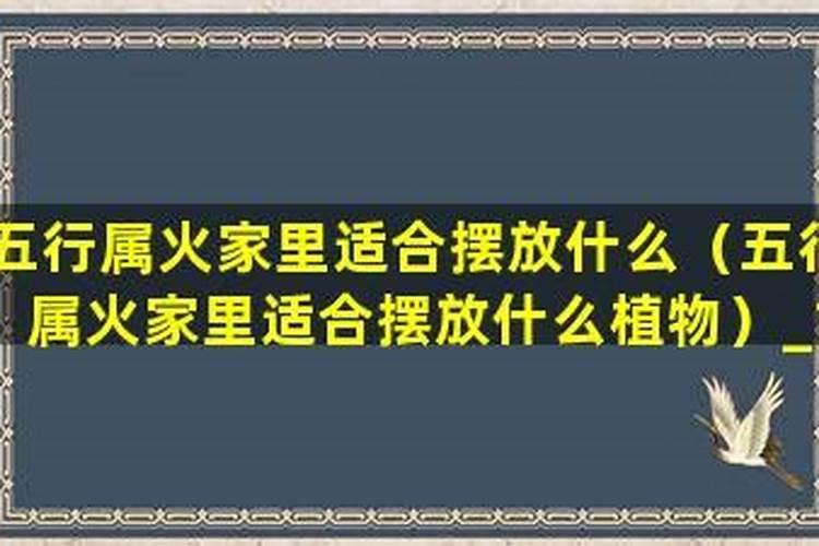 五行属火的位置应该放什么东西