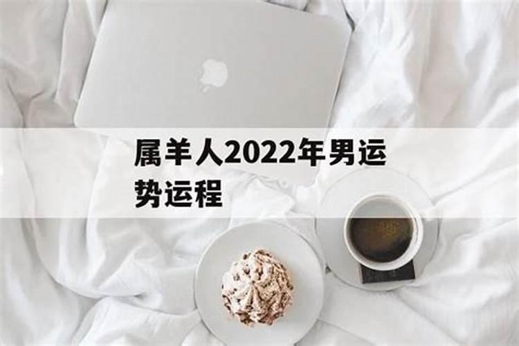 属羊人2022年运势简述