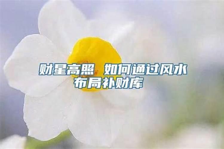 风水怎么补运气