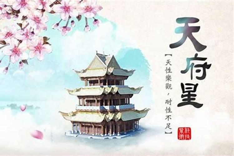 天府入流年命宫