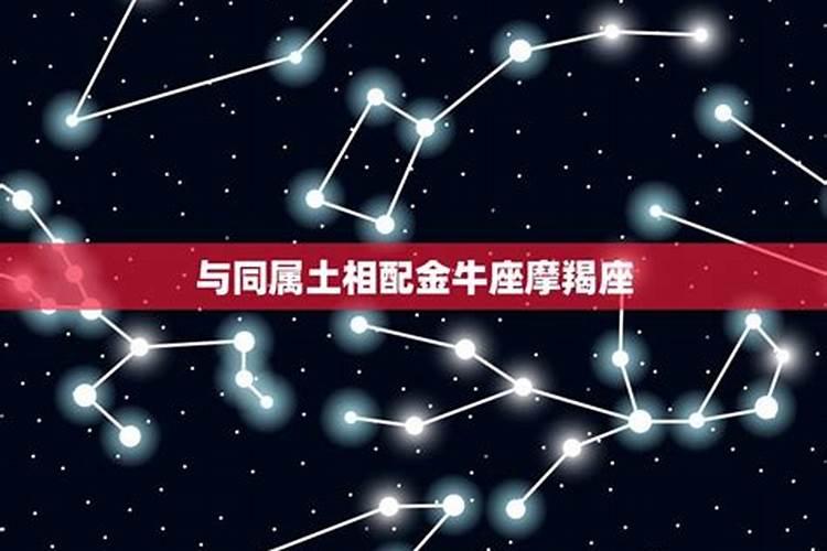 和处女座相爱相杀的星座是什么