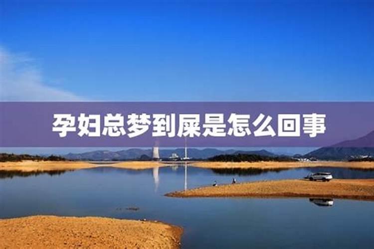 梦见屎是怎么回事沸滔算命网