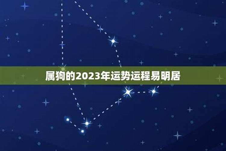 属蛇2022犯太岁带什么