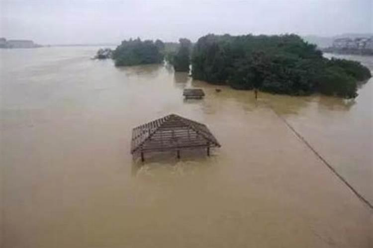 梦到下大雨发大水是什么意思自己住的房子没有倒塌