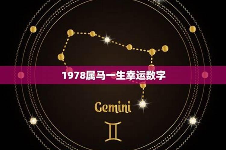 78年属马的幸运数字