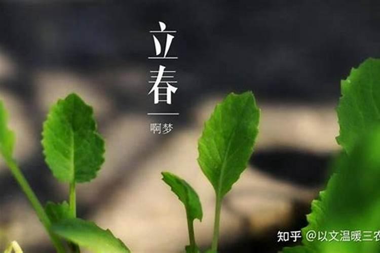 立春和春节哪个历史在前