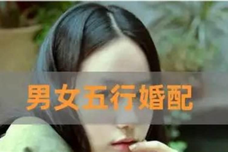 男女合婚五行是指什么