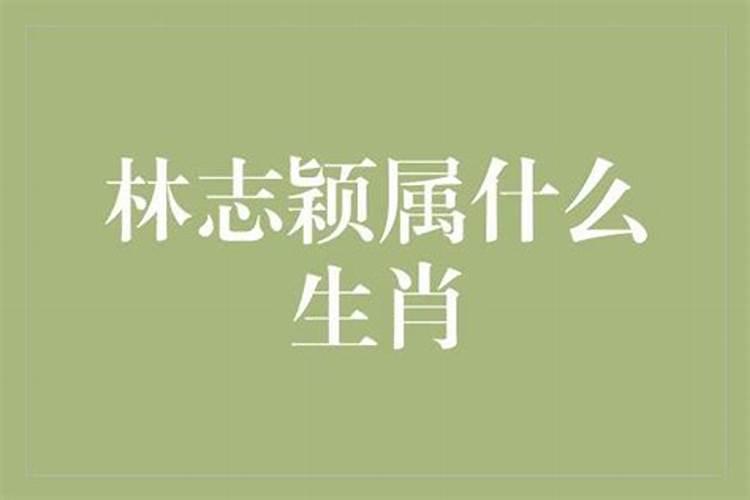 林志颖生肖八字爱情观是什么