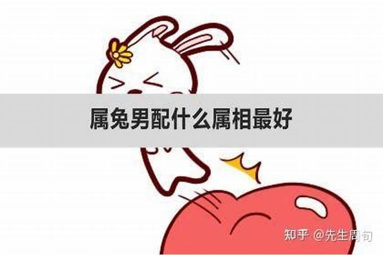 属兔男婚配什么属相最好